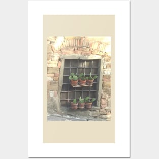 Summer Fun in the Sun - Rustic Cactus Style Posters and Art